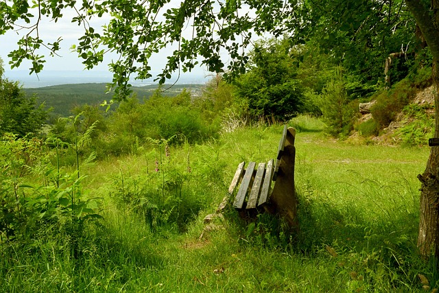 次提升信心 次提升信心