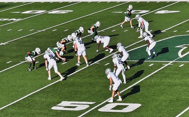 期的系统化 期的系统化