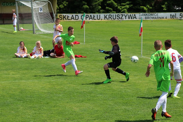 一体化发展 一体化发展