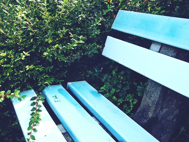 场充满了 场充满了